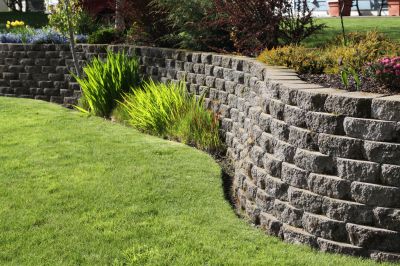 Enhances landscape stability