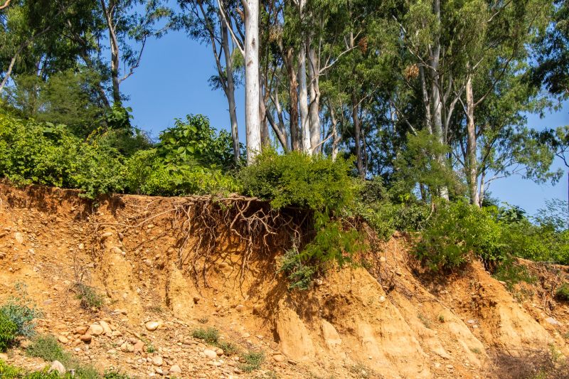 Erosion Repair Cost Guide — Cost of Erosion Repair